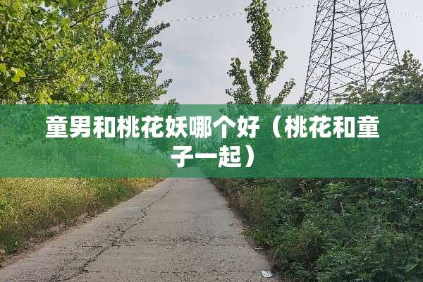 童男和桃花妖哪个好（桃花和童子一起）