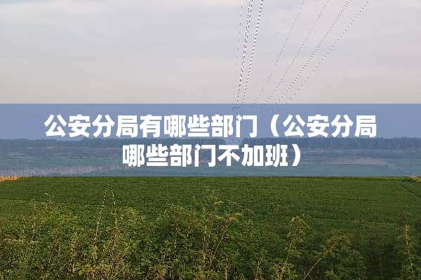 **分局有哪些部门（**分局哪些部门不加班）
