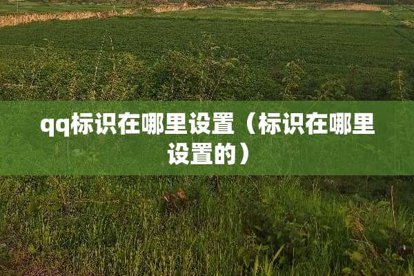 qq标识在哪里设置（标识在哪里设置的）