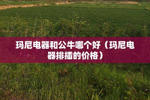玛尼电器和公牛哪个好（玛尼电器排插的价格）