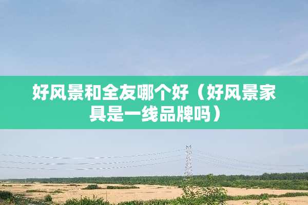 好风景和全友哪个好（好风景家具是一线品牌吗）