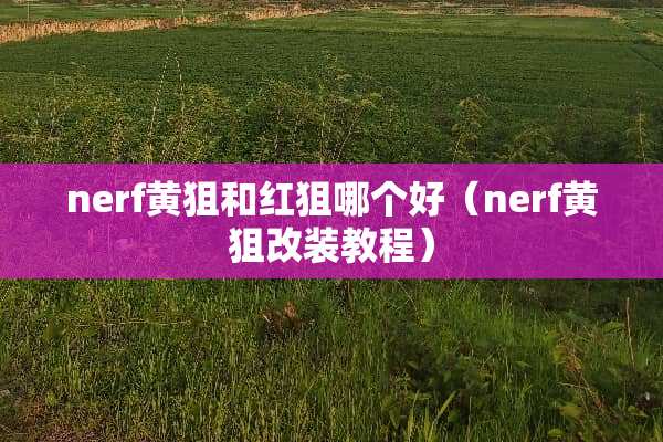 nerf黄狙和红狙哪个好（nerf黄狙改装教程）