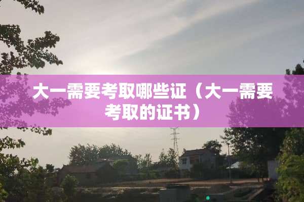 大一需要考取哪些证（大一需要考取的证书）