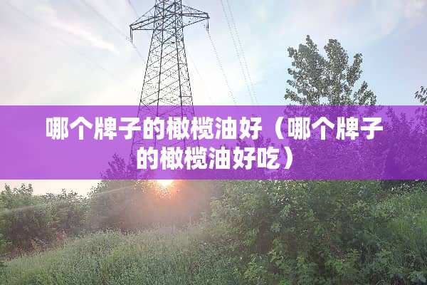 哪个牌子的橄榄油好（哪个牌子的橄榄油好吃）