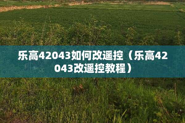 乐高42043如何改遥控（乐高42043改遥控教程）