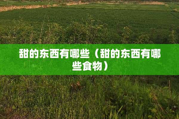 甜的东西有哪些（甜的东西有哪些食物）
