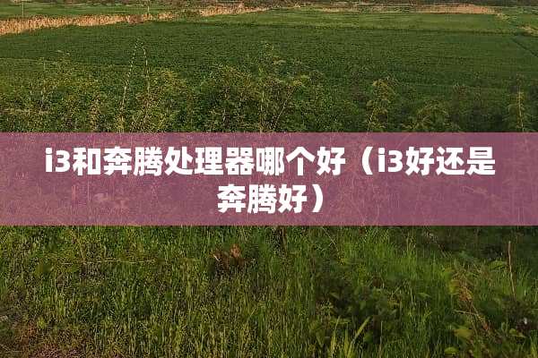 i3和奔腾处理器哪个好（i3好还是奔腾好）