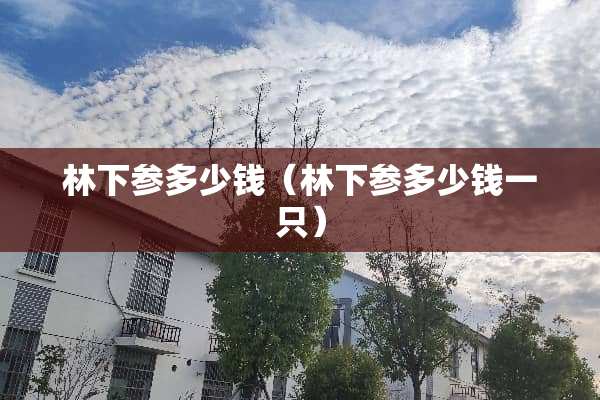 林下参多少钱（林下参多少钱一只）