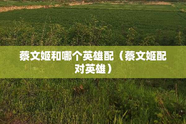蔡文姬和哪个英雄配（蔡文姬配对英雄）