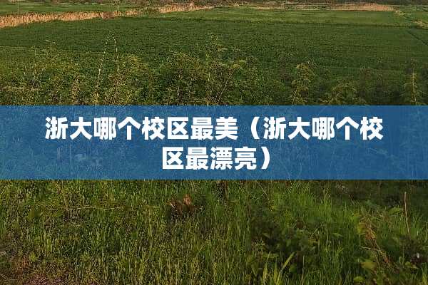 浙大哪个校区最美（浙大哪个校区最漂亮）
