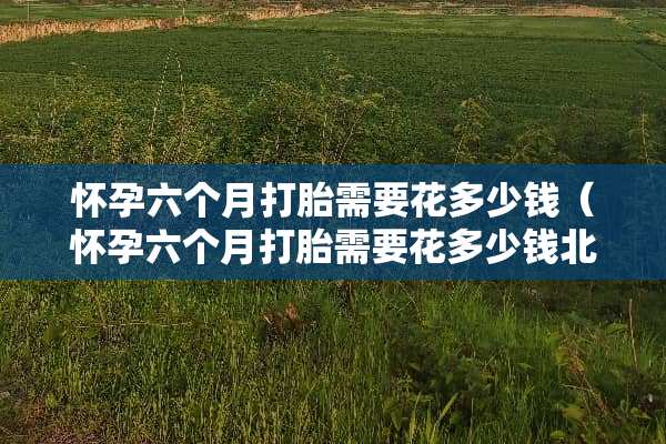 怀孕六个月打胎需要花多少钱（怀孕六个月打胎需要花多少钱北京）