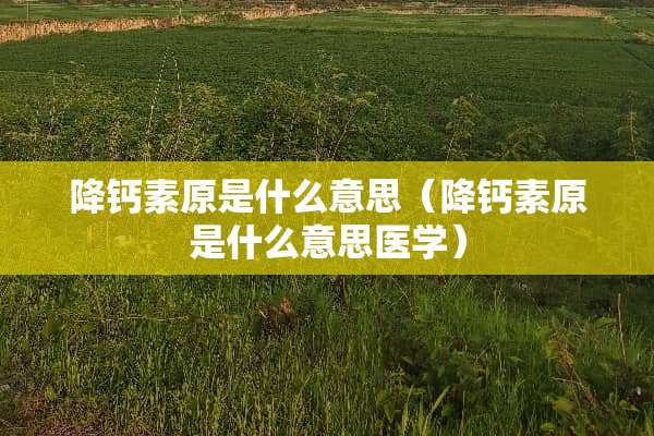 降钙素原是什么意思（降钙素原是什么意思医学）
