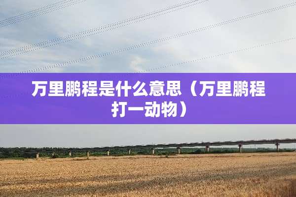 万**程是什么意思（万**程打一动物）