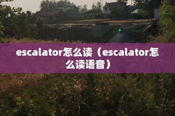 escalator怎么读（escalator怎么读语音）