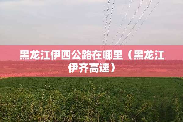 黑龙江伊四公路在哪里（黑龙江伊齐高速）