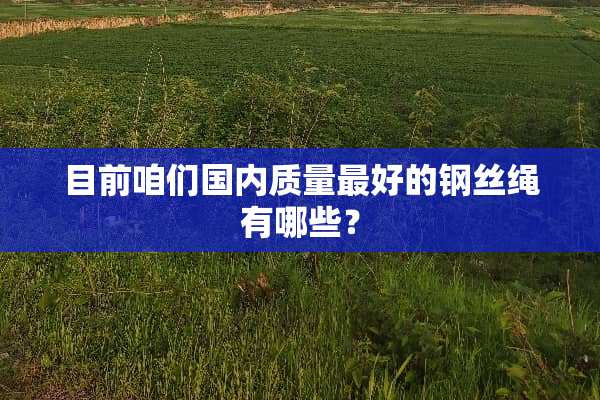 目前咱们国内质量最好的钢丝绳有哪些？