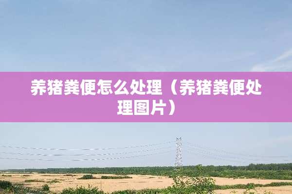 养猪粪便怎么处理（养猪粪便处理图片）