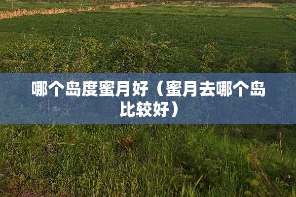 哪个岛度蜜月好（蜜月去哪个岛比较好）