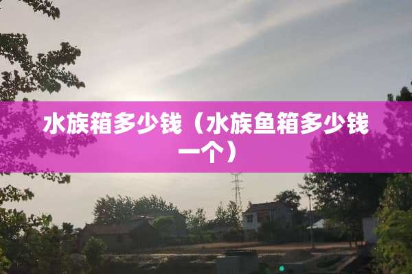 水族箱多少钱（水族鱼箱多少钱一个）