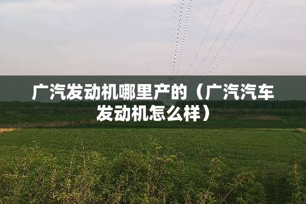 广汽发动机哪里产的（广汽汽车发动机怎么样）