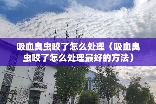 吸血臭虫咬了怎么处理（吸血臭虫咬了怎么处理最好的方法）