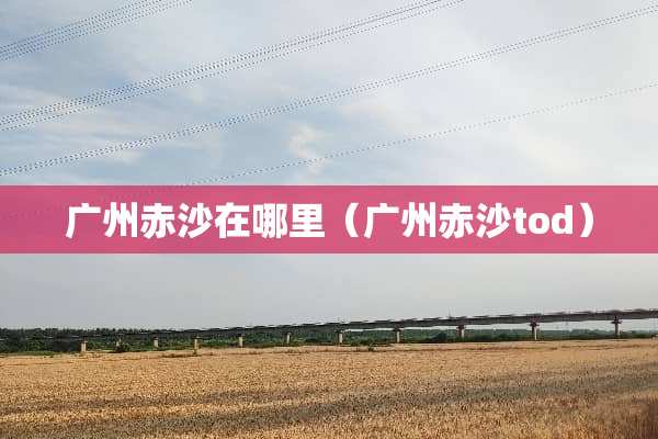 广州赤沙在哪里（广州赤沙tod）