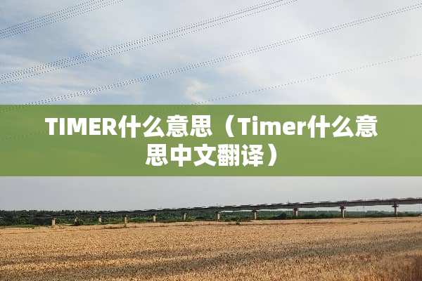 TIMER什么意思（Timer什么意思中文翻译）