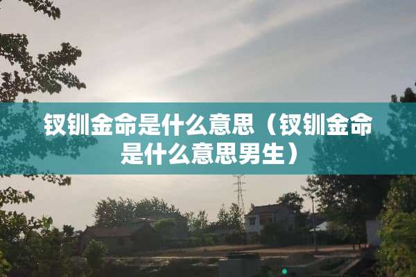 钗钏金命是什么意思（钗钏金命是什么意思男生）