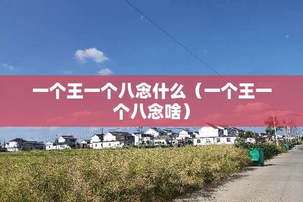 一个王一个八念什么（一个王一个八念啥）