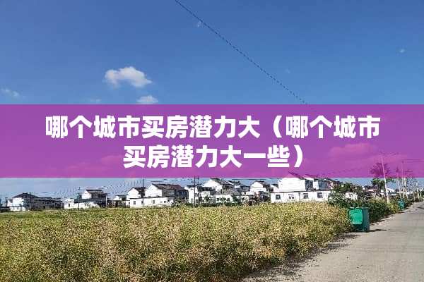 哪个城市买房潜力大（哪个城市买房潜力大一些）