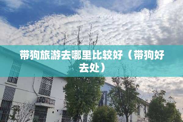 带狗旅游去哪里比较好（带狗好去处）