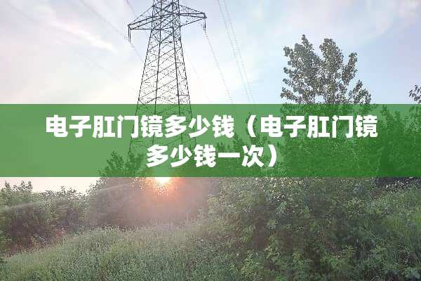 电子*门镜多少钱（电子*门镜多少钱一次）