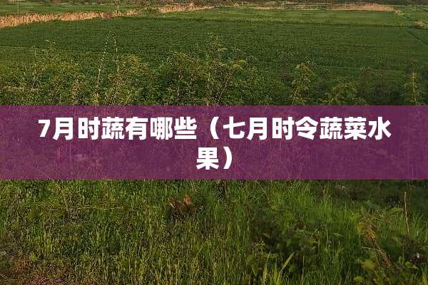 7月时蔬有哪些（七月时令蔬菜水果）
