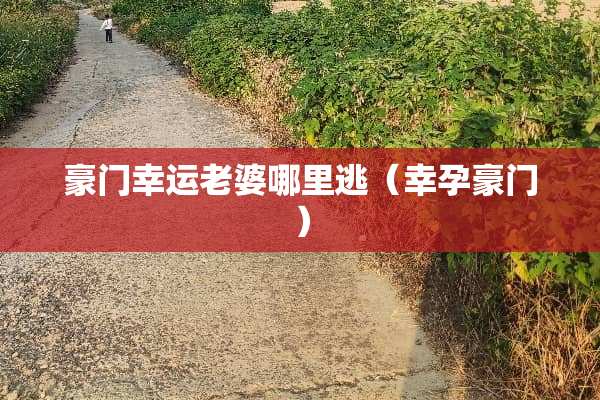 豪门幸运老婆哪里逃（幸孕豪门）