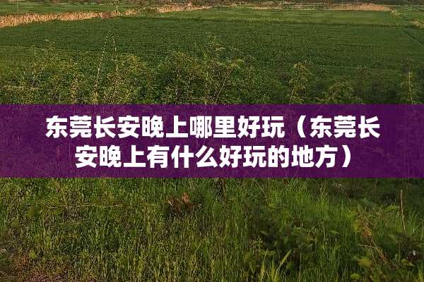 东莞长安晚上哪里好玩（东莞长安晚上有什么好玩的地方）
