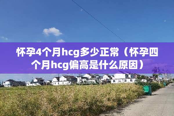 怀孕4个月hcg多少正常（怀孕四个月hcg偏高是什么原因）