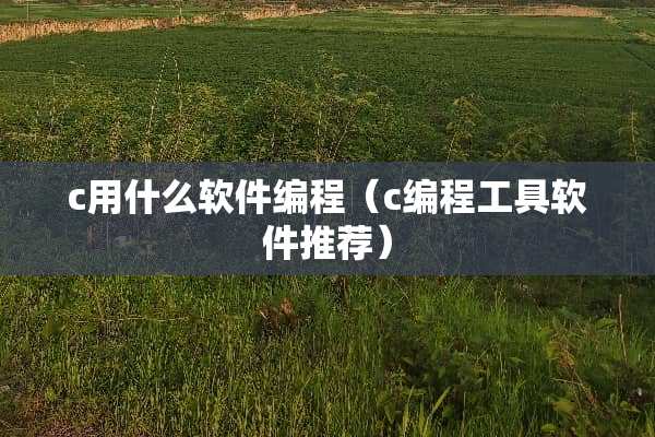 c用什么软件编程（c编程工具软件推荐）