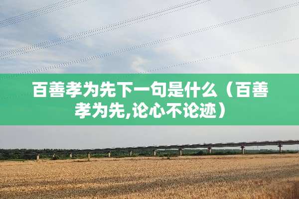 百善孝为先下一句是什么（百善孝为先,论心不论迹）