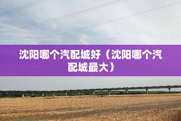 沈阳哪个汽配城好（沈阳哪个汽配城最大）