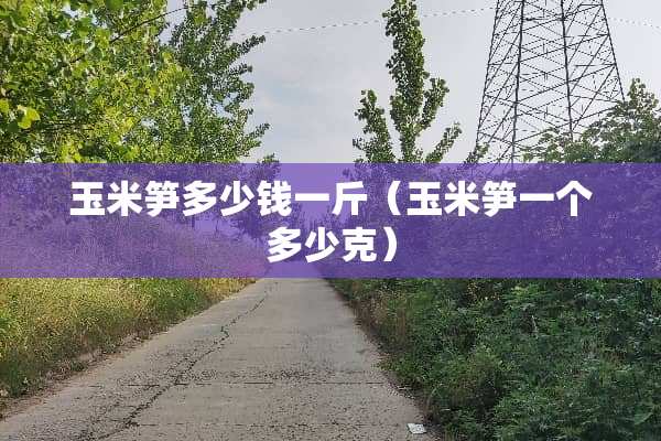玉米笋多少钱一斤（玉米笋一个多少克）
