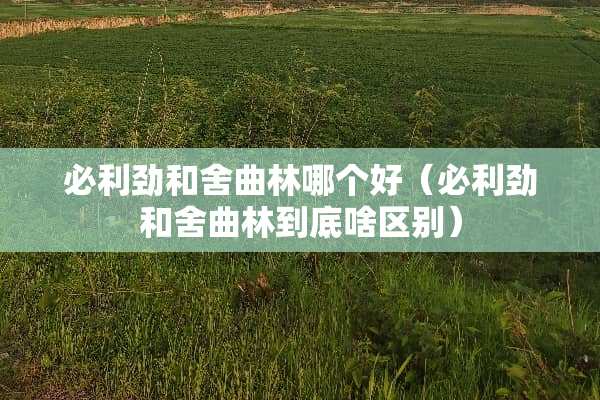 必利劲和舍曲林哪个好（必利劲和舍曲林到底啥区别）