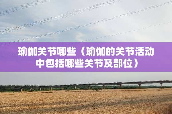 瑜伽关节哪些（瑜伽的关节活动中包括哪些关节及部位）