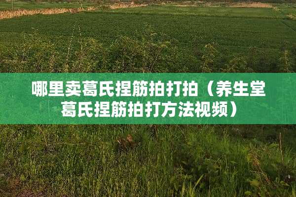 哪里卖葛氏捏筋拍打拍（养生堂葛氏捏筋拍打方法视频）