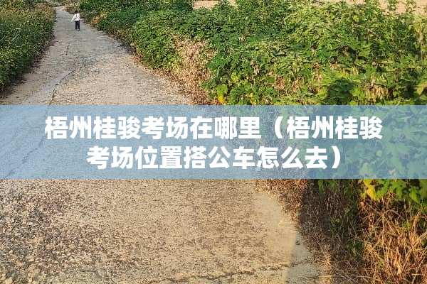 梧州桂骏考场在哪里（梧州桂骏考场位置搭公车怎么去）