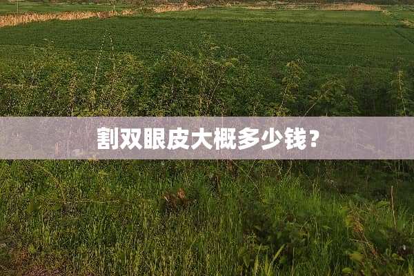 割双眼皮大概多少钱？