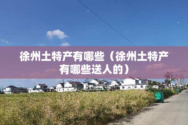 徐州土特产有哪些（徐州土特产有哪些送人的）