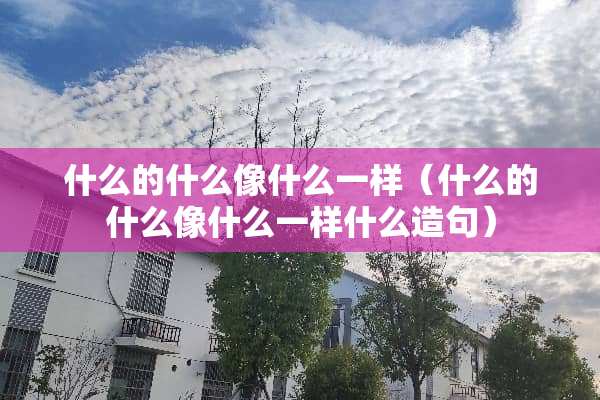 什么的什么像什么一样（什么的什么像什么一样什么造句）