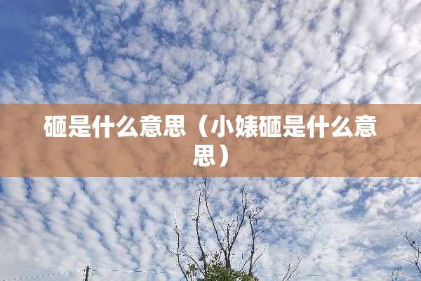 砸是什么意思（小婊砸是什么意思）