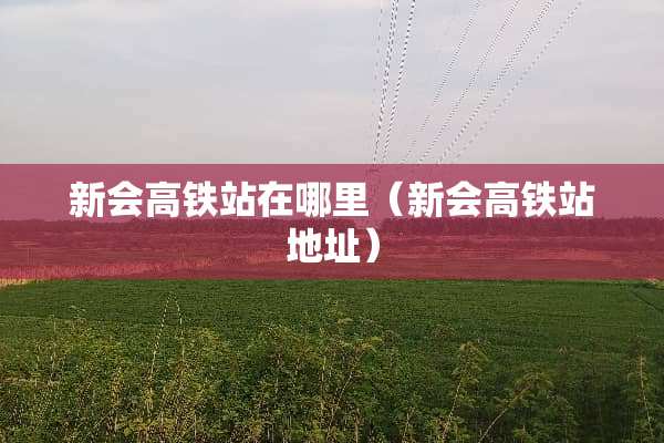 新会高铁站在哪里（新会高铁站地址）