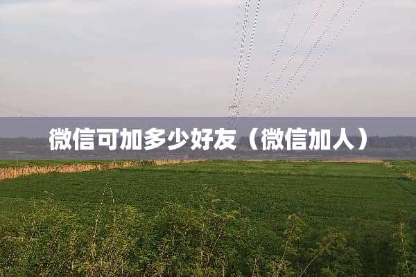微信可加多少好友（微信加人）